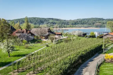 Ferienwohnung Loft Bodman - Aussicht vom Balkon