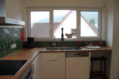 Ferienwohnung Seeblick Bodman - Küche mit Spülmaschine
