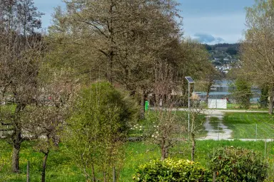 Ferienwohnung Seewinkel - Ausblick vom Balkon