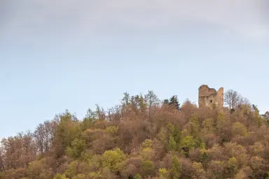 Ferienwohnung Seewinkel - Umgebung der Wohnung