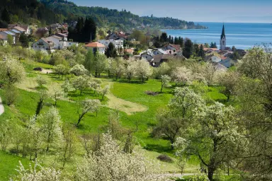 Ferienwohnung Süßenmühle Obstwiese - direkt am Bodensee
