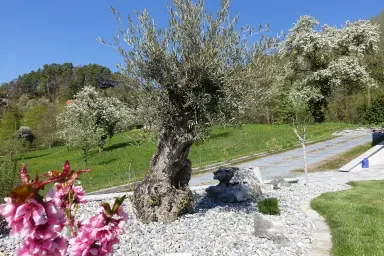Ferienwohnung Süßenmühle Obstwiese - direkt am Bodensee
