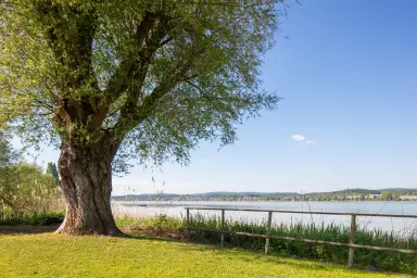 Ferienwohnung Blaupause Reichenau - Heller und freundlicher Wohnraum direkt am Bodensee-Ufer