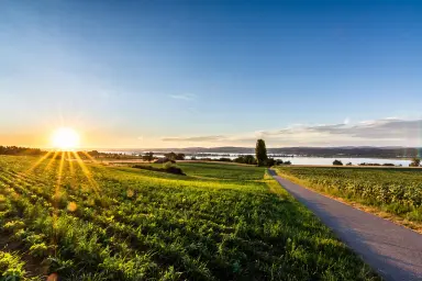 Ferienwohnung Blaupause Reichenau - Heller und freundlicher Wohnraum direkt am Bodensee-Ufer