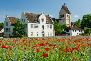Ferienwohnung Blaupause Reichenau - Heller und freundlicher Wohnraum direkt am Bodensee-Ufer