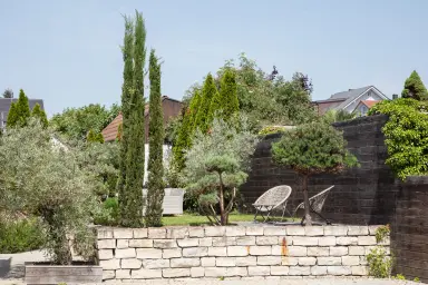 Seehaus Allensbach | Garten und Außenbereich